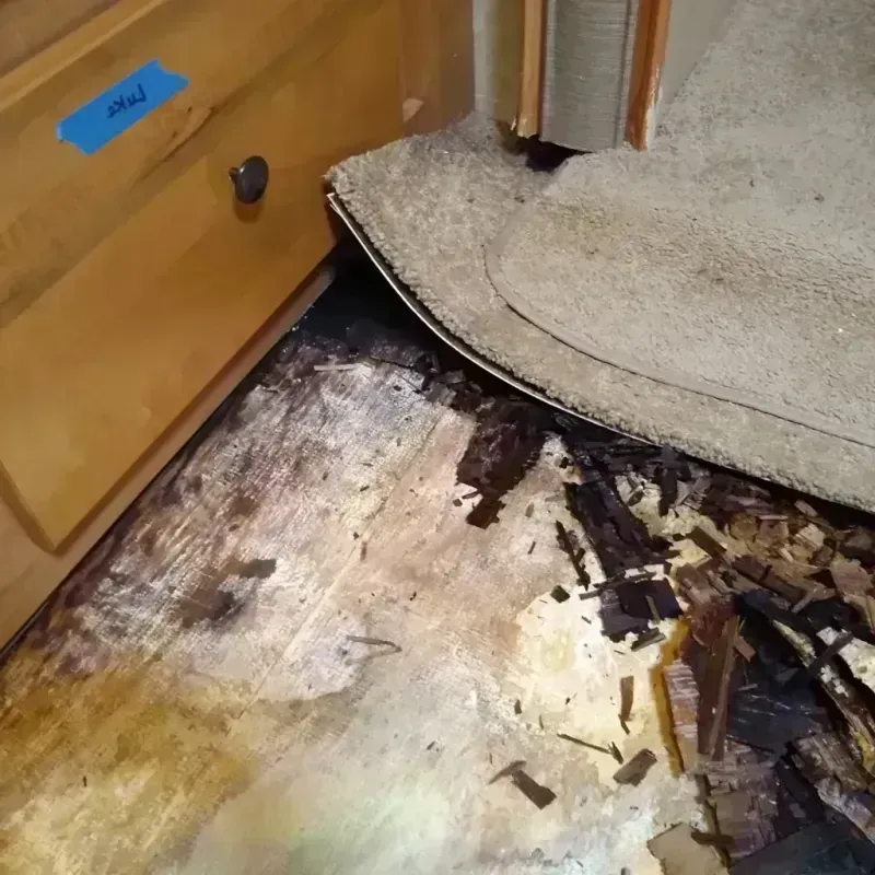 Wood Floor Water Damage in Defiance, OH